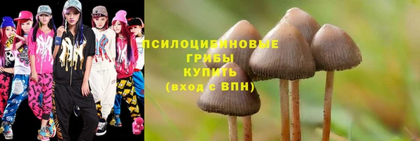 ALPHA PVP Алексеевка