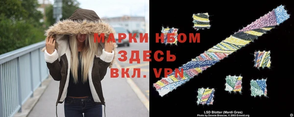 apvp Алексин