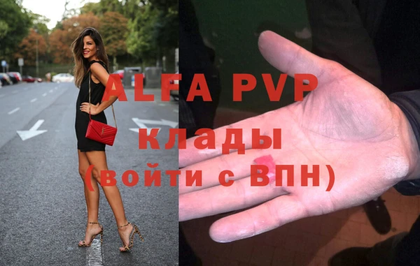 шишки Алзамай