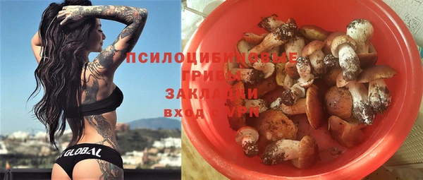 шишки Алзамай