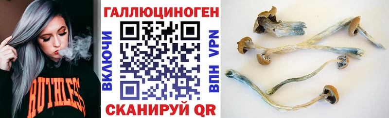 наркота  Алушта  Псилоцибиновые грибы Cubensis 